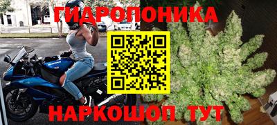 spice Владикавказ