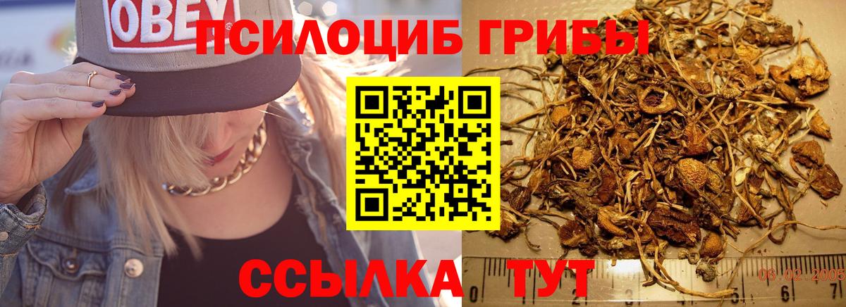 Псилоцибиновые грибы ЛСД  Вход с VPN  Отрадный 